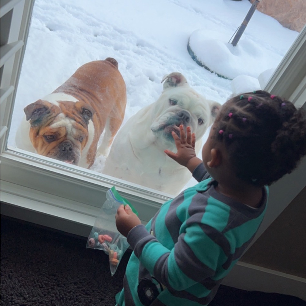 Meet your Posher, Shay